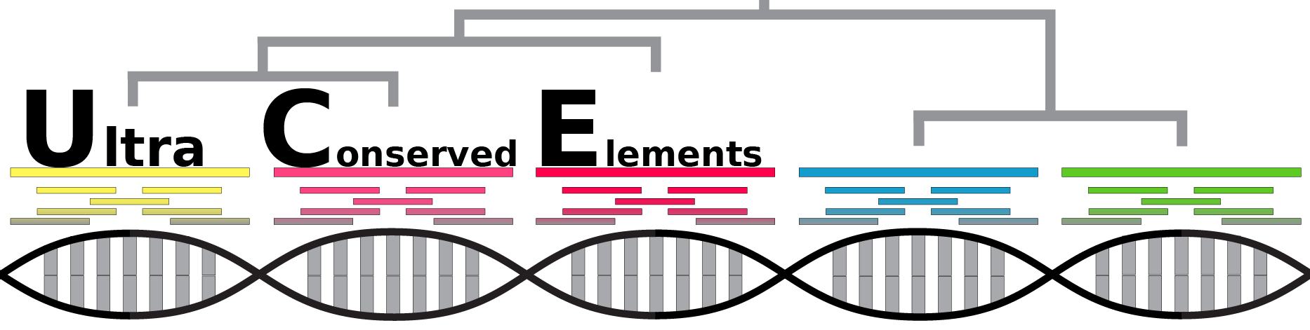 ultraconserved.org header image